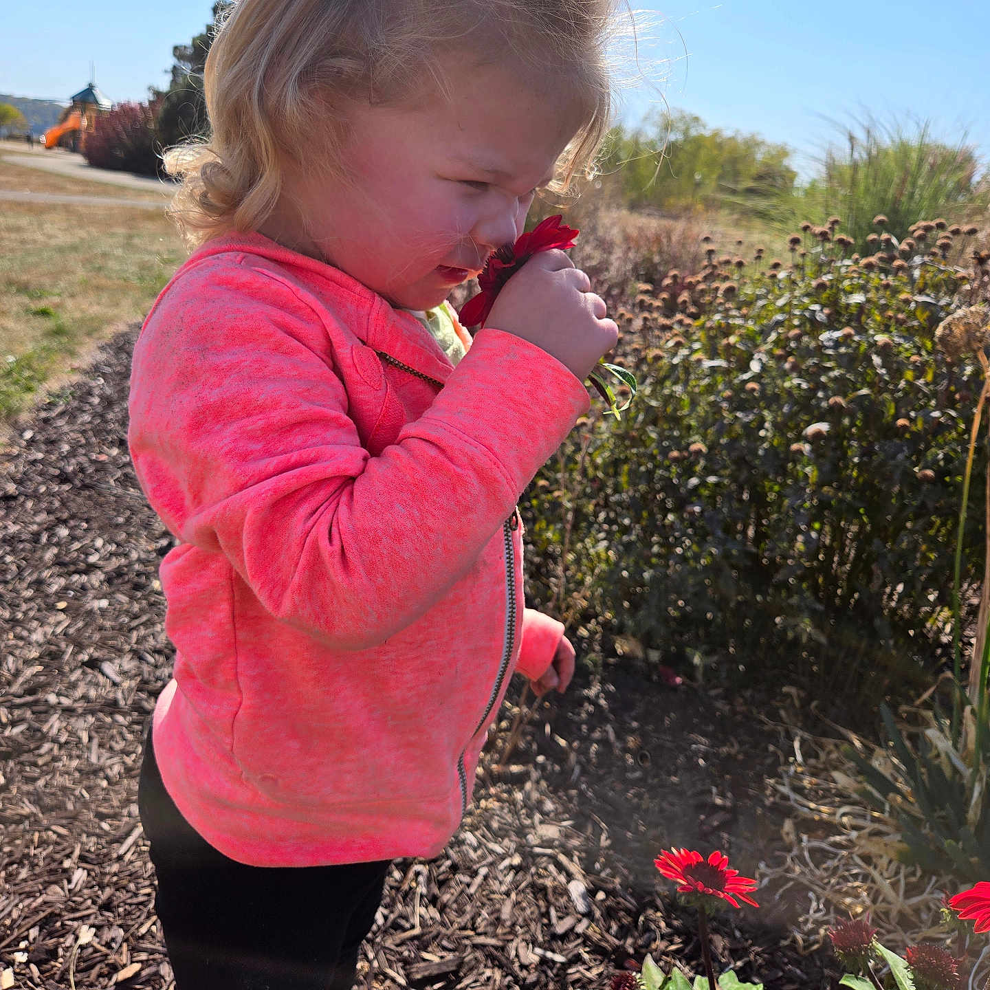 Desiree is registered to the contest to win money with this photo: bodypart, child, clothing, face, female, finger, flower, garden, girl, grass, hand, head, nature, outdoors, person, photography, plant, portrait, smelling, soil