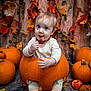 baby, pumpkin, fall, autumn, leaf, orange, cute, child, seasonal, holiday, decor, smile, sitting, background, wood, floor, nature, festive, cozy, playful