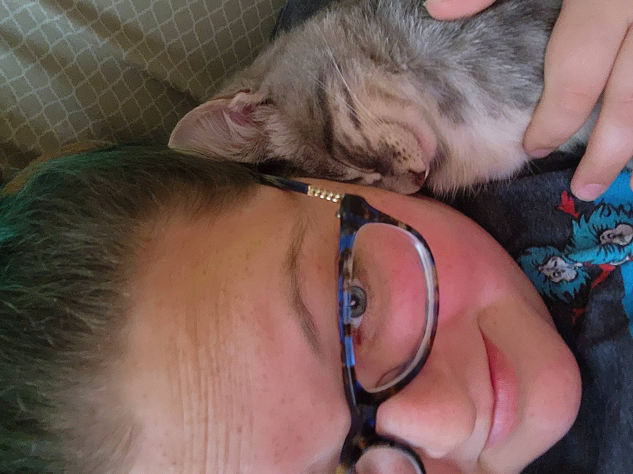 Tuck joined the competition — help win amazing prizes! audio_equipment, dog_breed, ear, eyelash, eyewear, felidae, finger, gesture, glasses, hand, jaw, mouth, nail, neck, nose, skin, small_to_medium_sized_cats, vision_care, whiskers, wrinkle