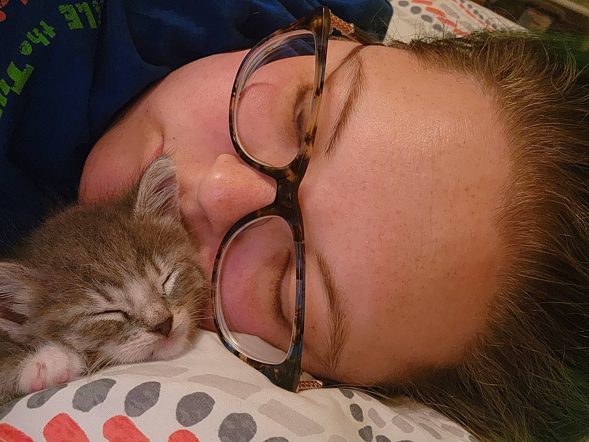 Tuck is registered to the contest to win money with this photo: abdomen, barechested, bed, carnivore, cat, chest, comfort, domestic_short_haired_cat, eyewear, facial_hair, felidae, fur, glasses, mouth, skin, small_to_medium_sized_cats, sunglasses, trunk, vision_care, whiskers