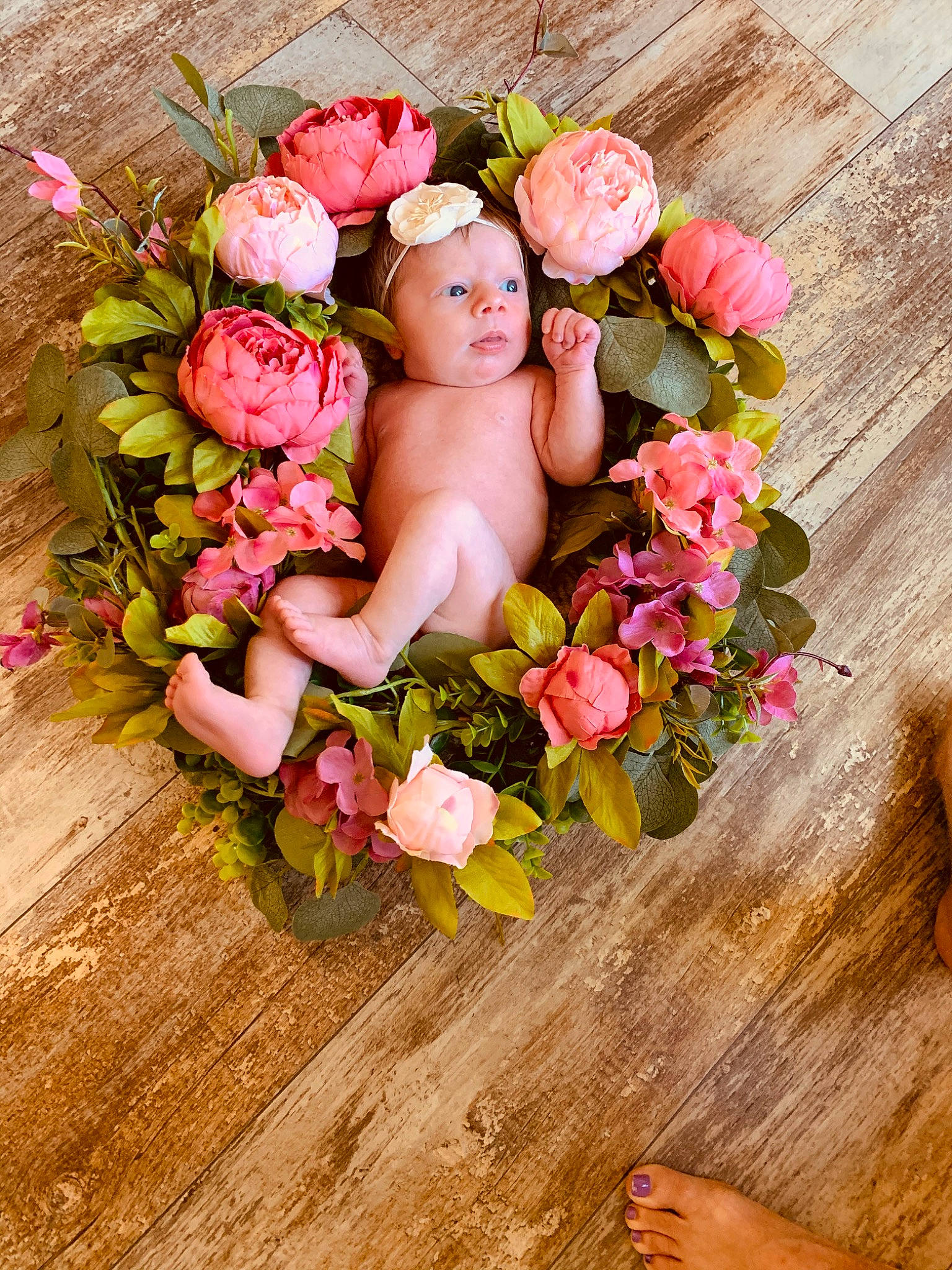 Remington joined the competition — help win amazing prizes! baby, bouquet, child, cut_flowers, fictional_character, floral_design, floristry, flower, flower_arranging, garden_roses, headwear, person, petal, photography, pink, plant, rose, rose_family, spring, wood