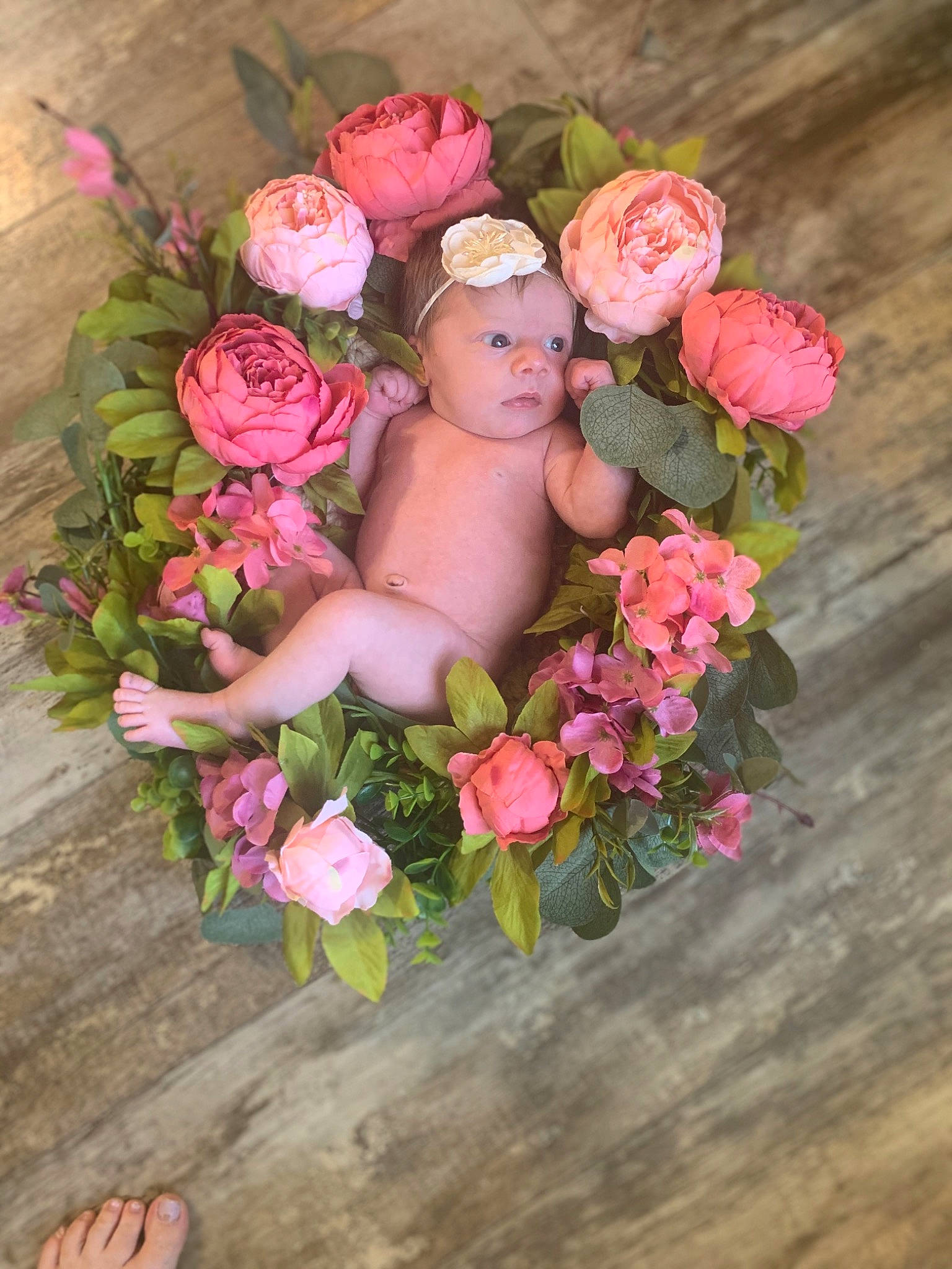Remington is registered to the contest to win money with this photo: baby, bouquet, child, cut_flowers, floral_design, floristry, flower, flowering_plant, garden_roses, peony, person, petal, pink, plant, rosa_centifolia, rose, rose_family, rose_order, still_life