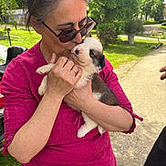 Archi participe au concours pour gagner de l'argent avec cette photo : accessories, animal, blouse, canine, clothing, dog, face, glasses, grass, head, nature, outdoors, park, person, pet, photography, plant, portrait, puppy, sunglasses