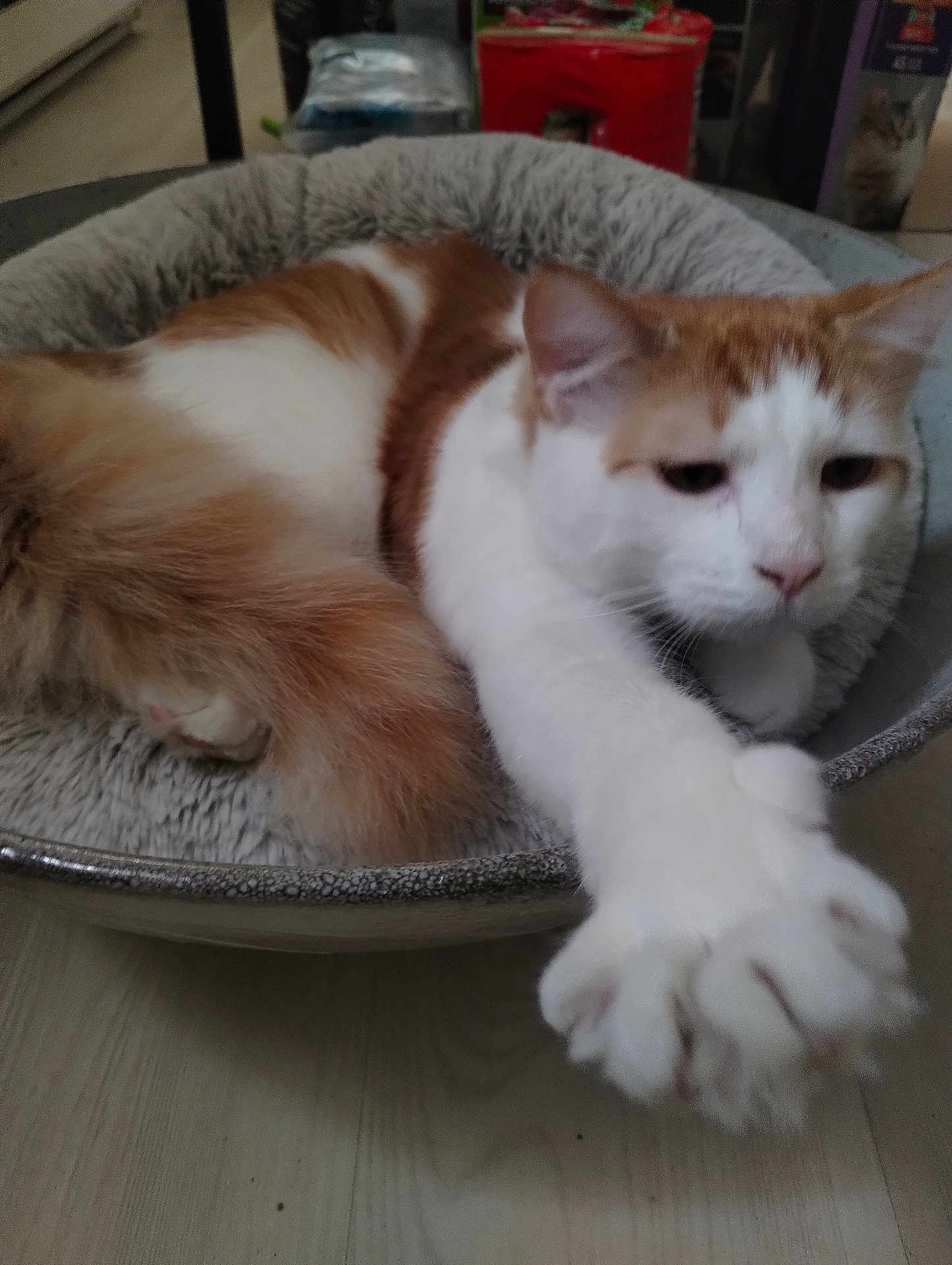 Tobby