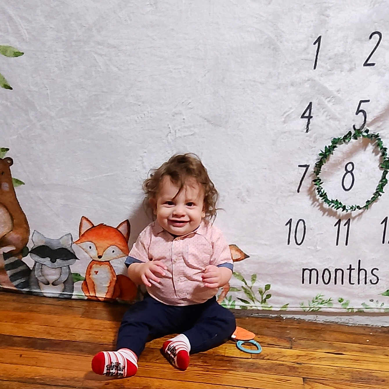 Lorenzo is registered to the contest to win money with this photo: animal, baby, cat, clothing, face, happy, hardwood, head, hosiery, number, pants, person, pet, photography, portrait, sitting, sock, symbol, text, wood