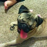 Zoe joined the competition — help win amazing prizes!