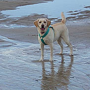 Gipsy participe au concours pour gagner de l'argent avec cette photo :