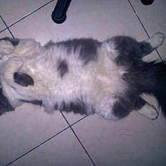 Midnight is registered to the contest to win money with this photo:
