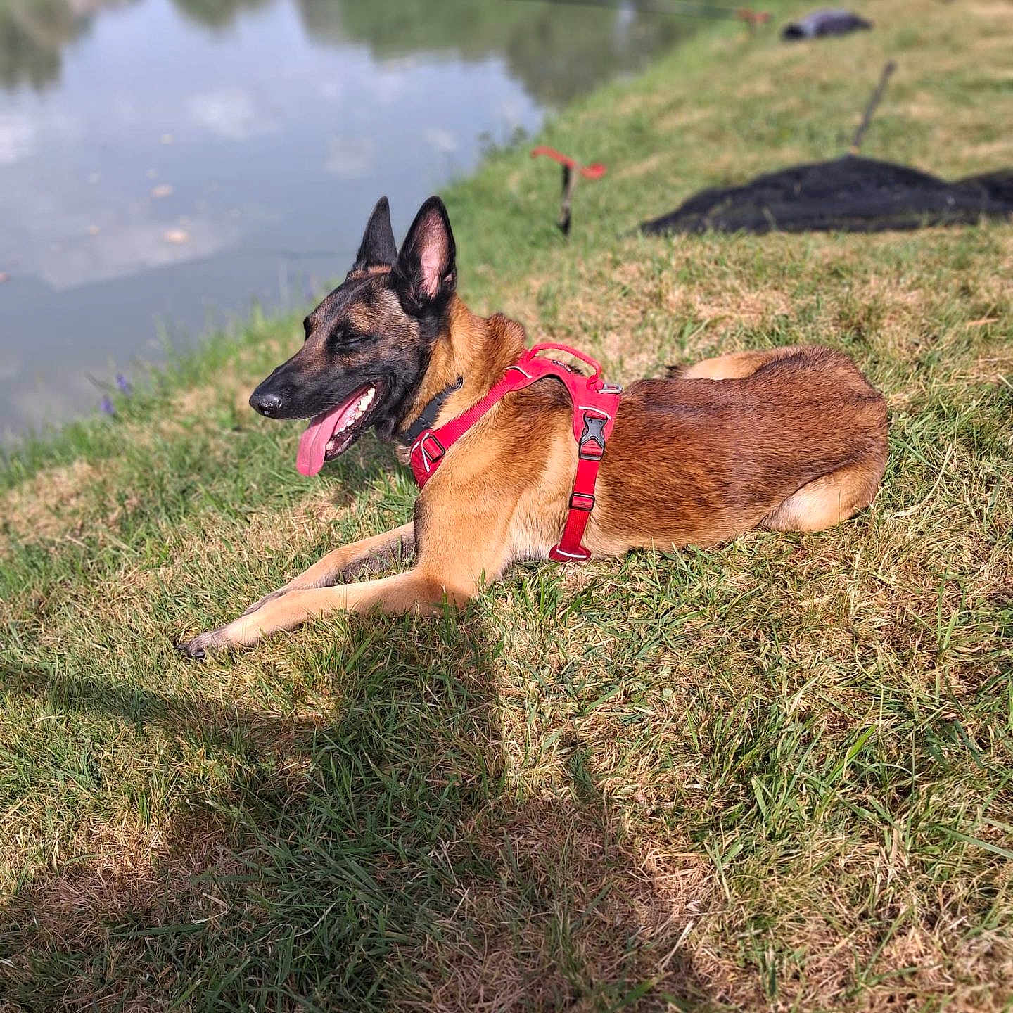 Sam