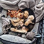 puppy, dog, sleeping, bed, blanket, plush_toy, giraffe_toy, bunny_toy, cozy, cute, fur, paw, indoors, resting, pet, animal, soft, cuddle, napping, comfortable