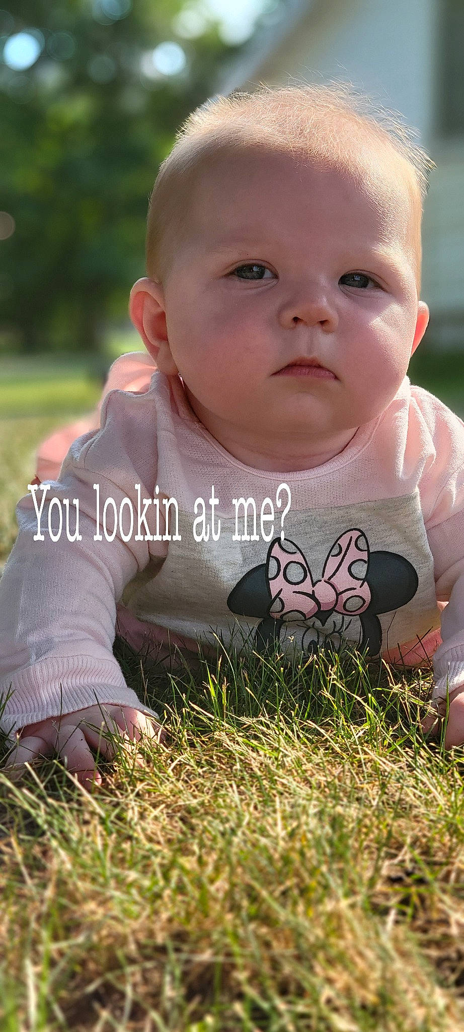 Gianna is registered to the contest to win money with this photo: arm, baby, baby_toddler_clothing, dress, face, finger, grass, hand, happy, human_body, leaf, leg, natural_environment, nose, people_in_nature, person, plant, skin, smile, sunlight