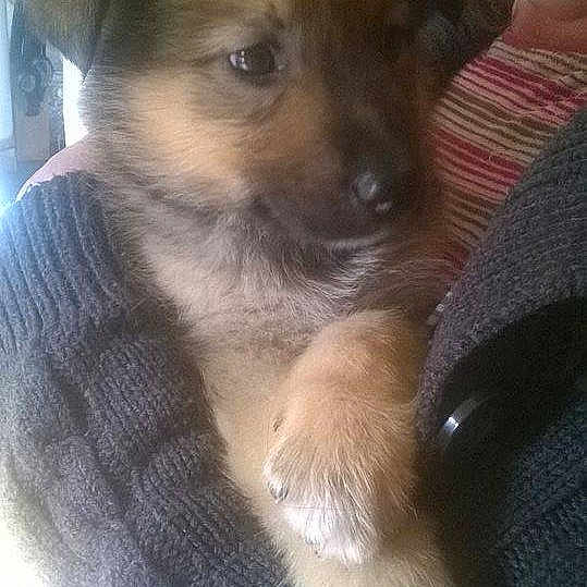 Brigand a rejoint le concours — aidez-le/la à gagner de superbes lots !