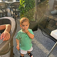 Lyzio participe au concours pour gagner de l'argent avec cette photo : carpet, chair, child, curious, daylight, glass_door, greenery, hand, outdoor, person, plant, polo_shirt, reflection, sandals, shorts, snack, sunlight, table, toddler, wicker