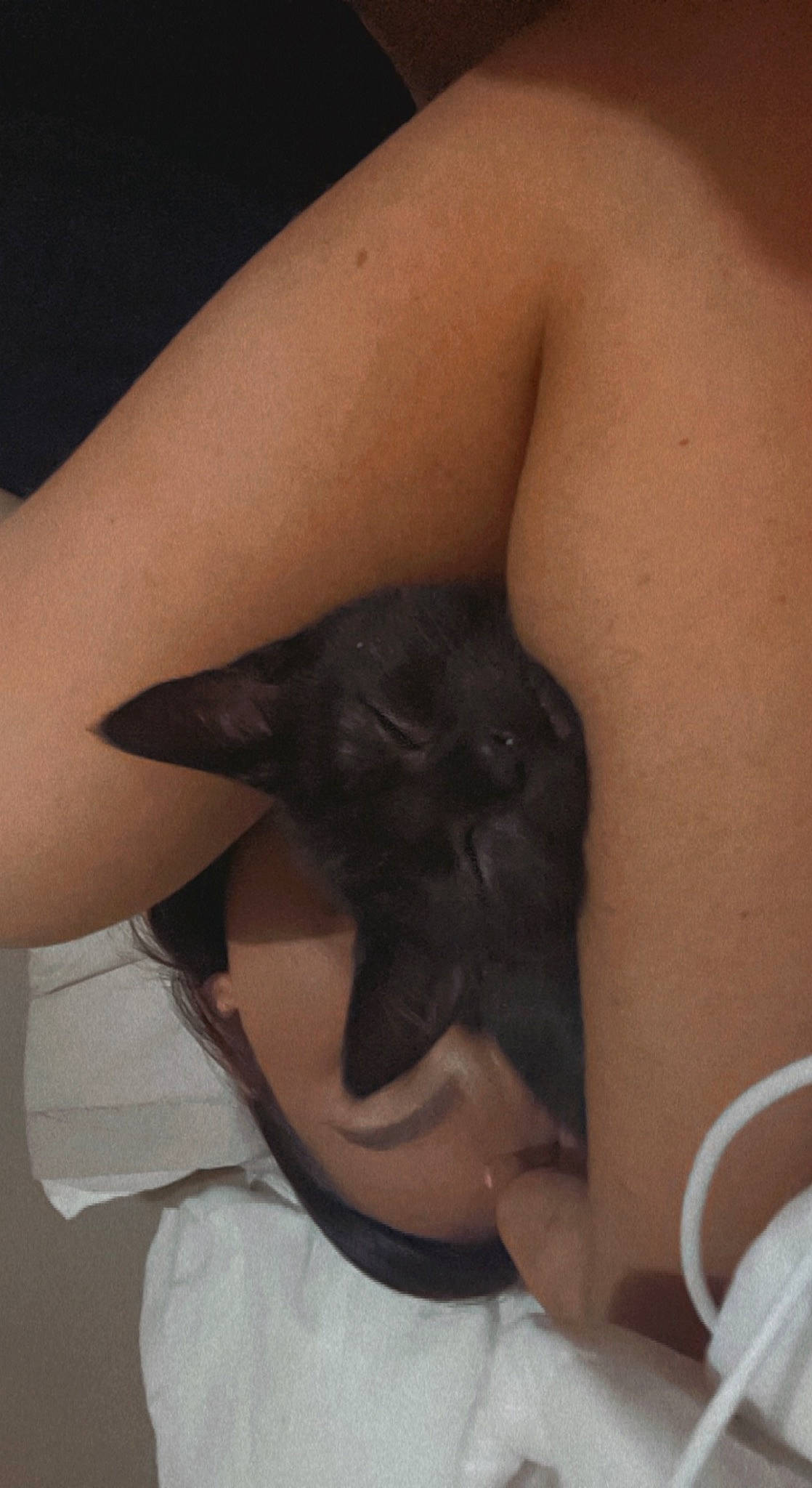 Darla is registered to the contest to win money with this photo: beard, chest, dress, elbow, eye, eyelash, felidae, finger, gesture, jaw, joint, leg, mouth, neck, shoulder, skin, small_to_medium_sized_cats, sunglasses, thigh, whiskers