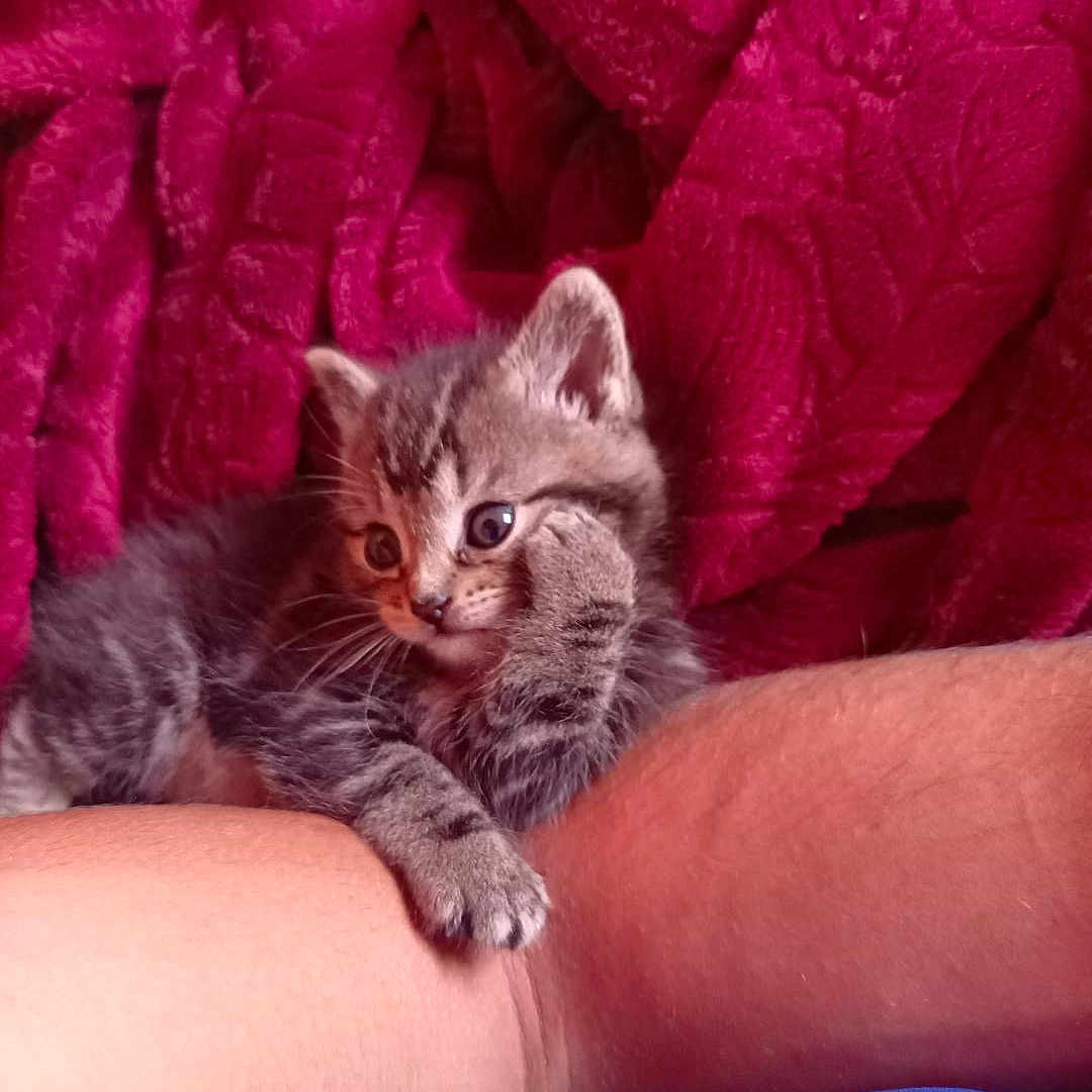 Ruby