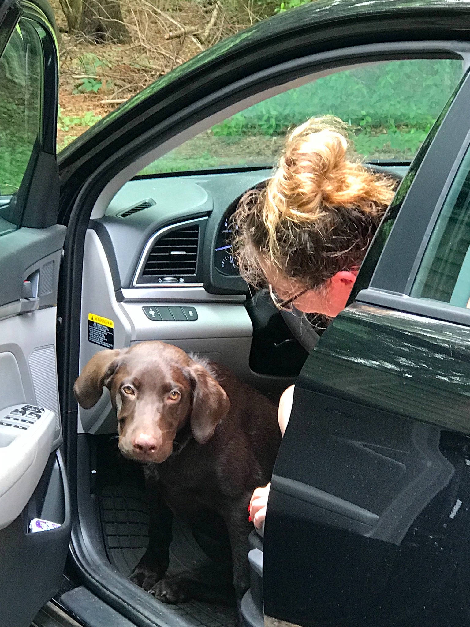 Tate joined the competition — help win amazing prizes! auto_part, automotive_exterior, automotive_window_part, canidae, car, car_seat, carnivore, companion_dog, dog, dog_breed, door, family_car, seat_belt, sporting_group, vehicle, vehicle_door