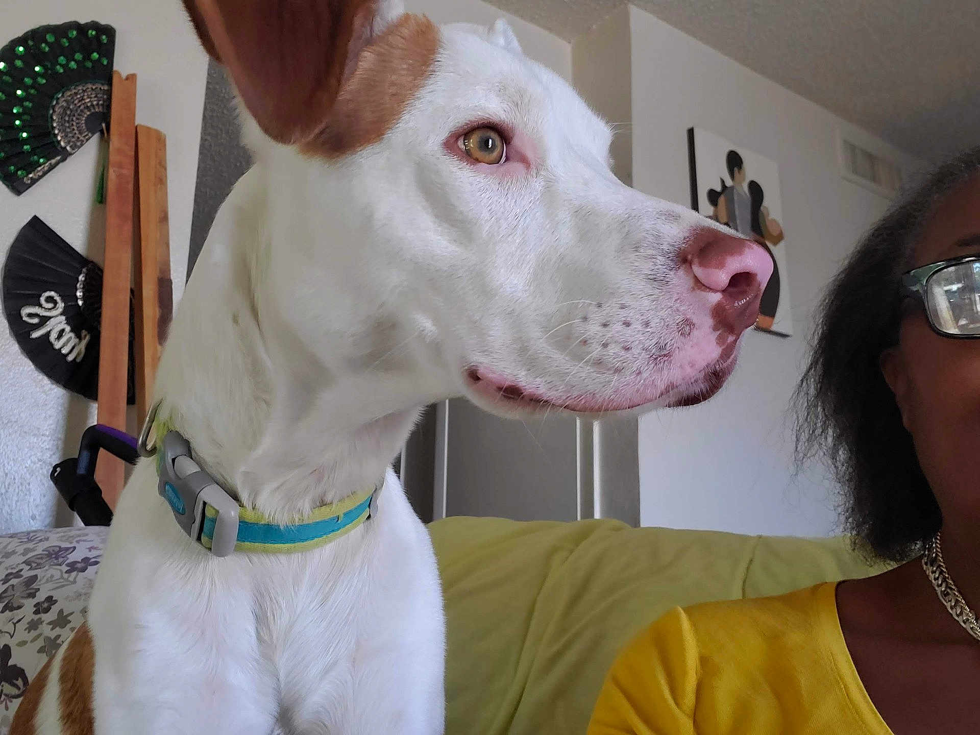 Max