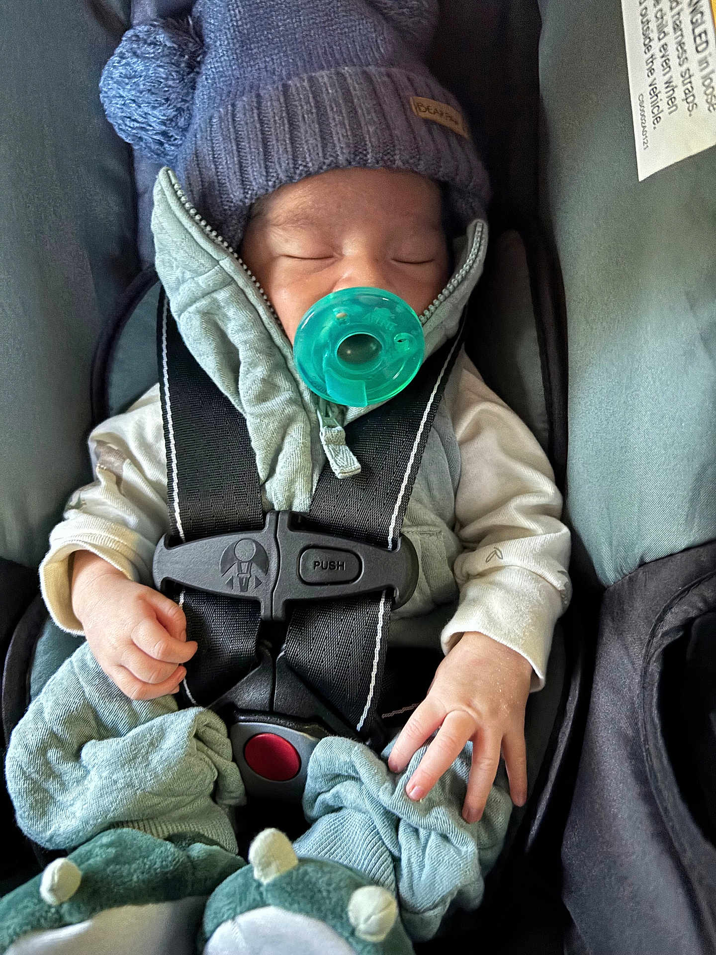 Anthony is registered to the contest to win money with this photo: baby, pacifier, car_seat, hat, knitted_hat, sleeping, infant, clothing, safety_harness, cute, hand, footwear, socks, indoor, child, bundle, cozy, resting, newborn, warm