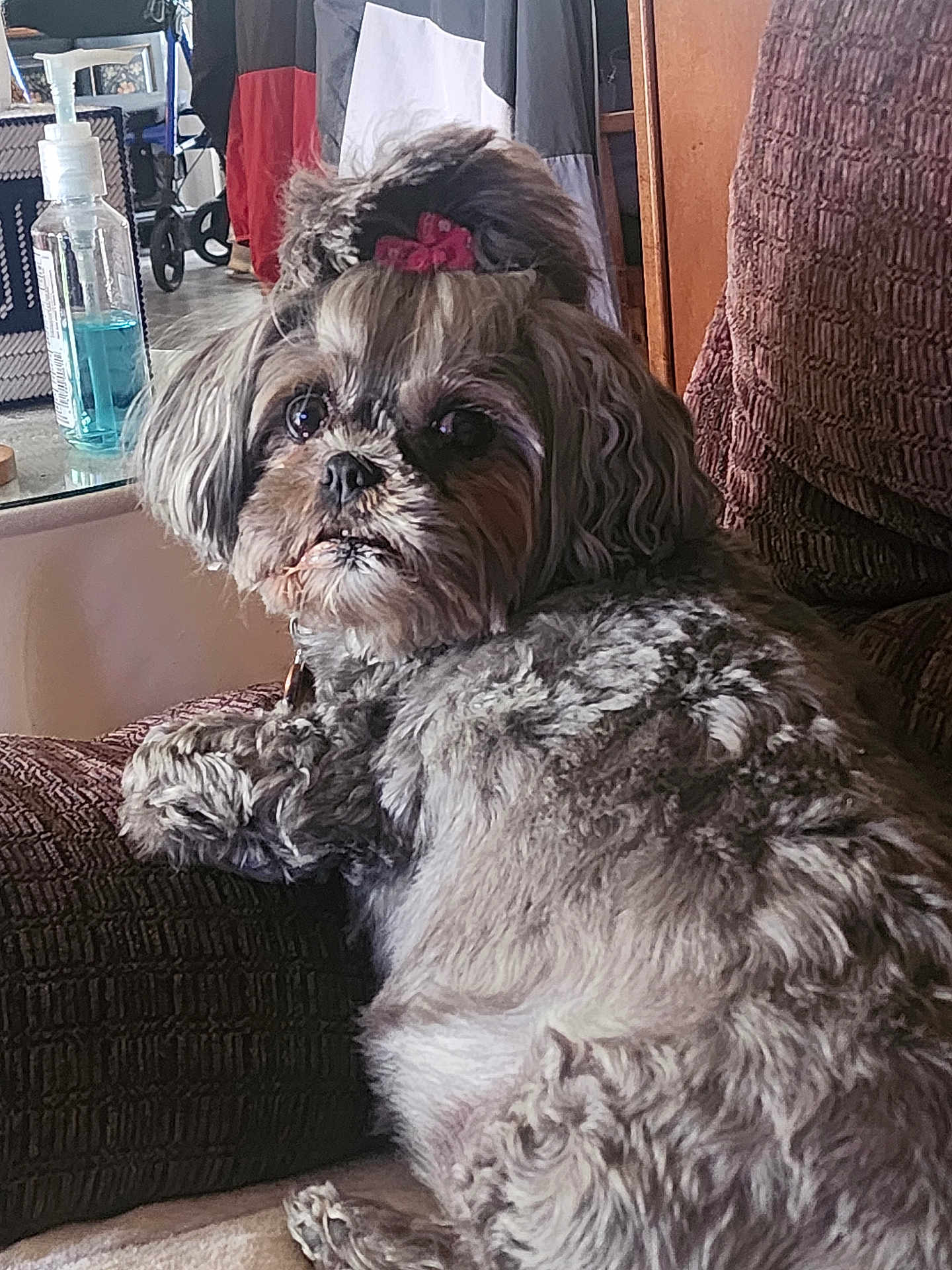 Bella
