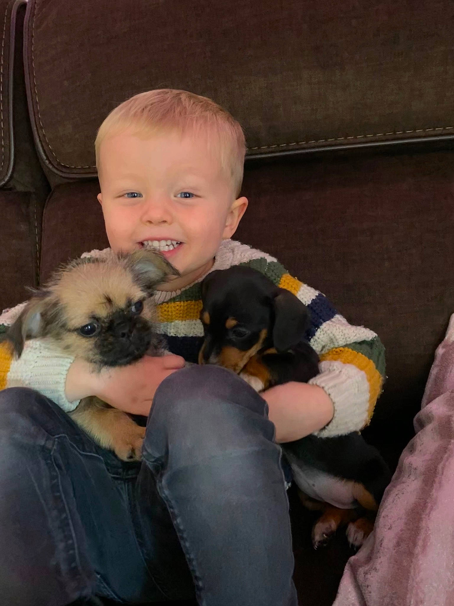 Archie joined the competition — help win amazing prizes! canidae, carnivore, child, companion_dog, dog, dog_breed, joy, person, puppy, puppy_love