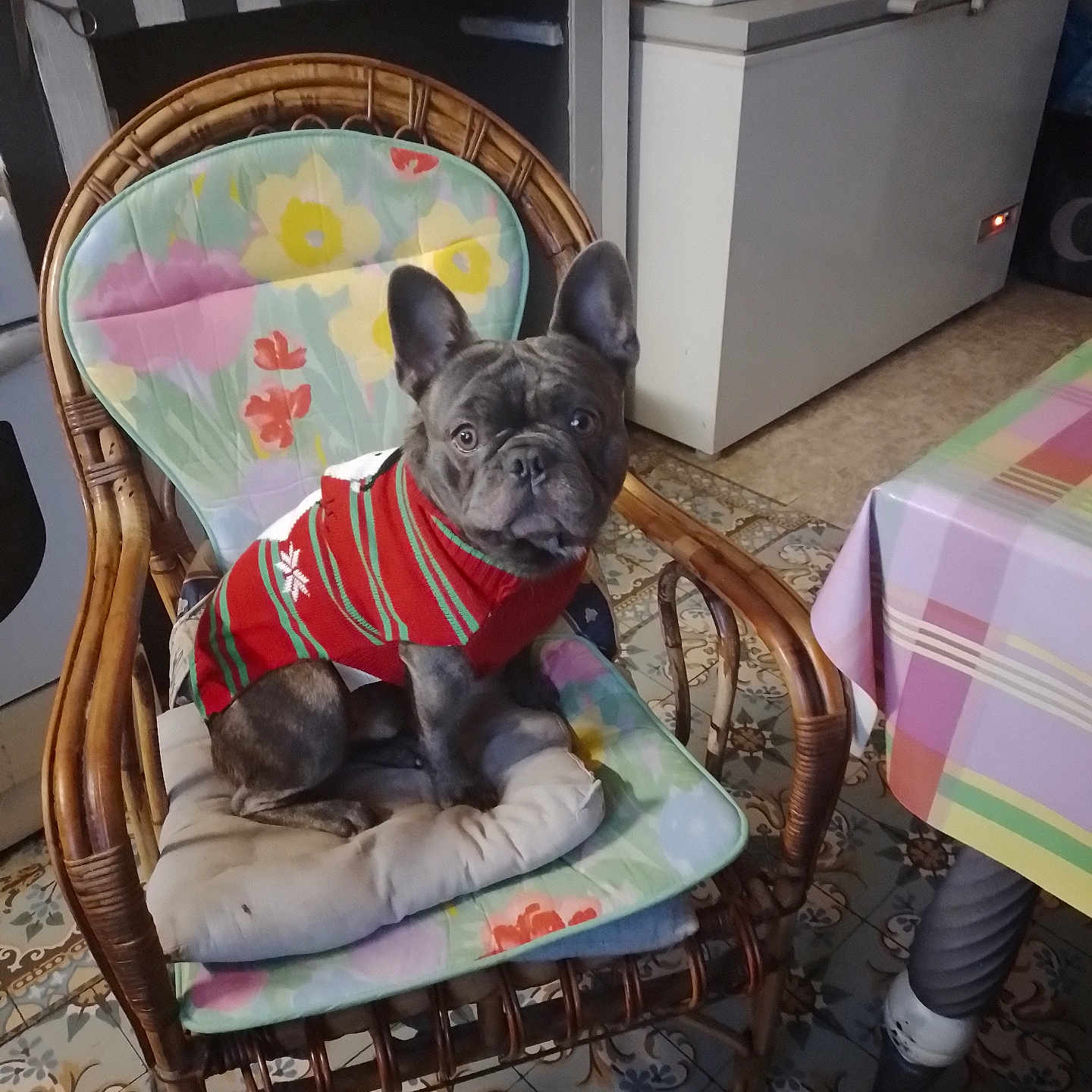 Mon Bébé Charly