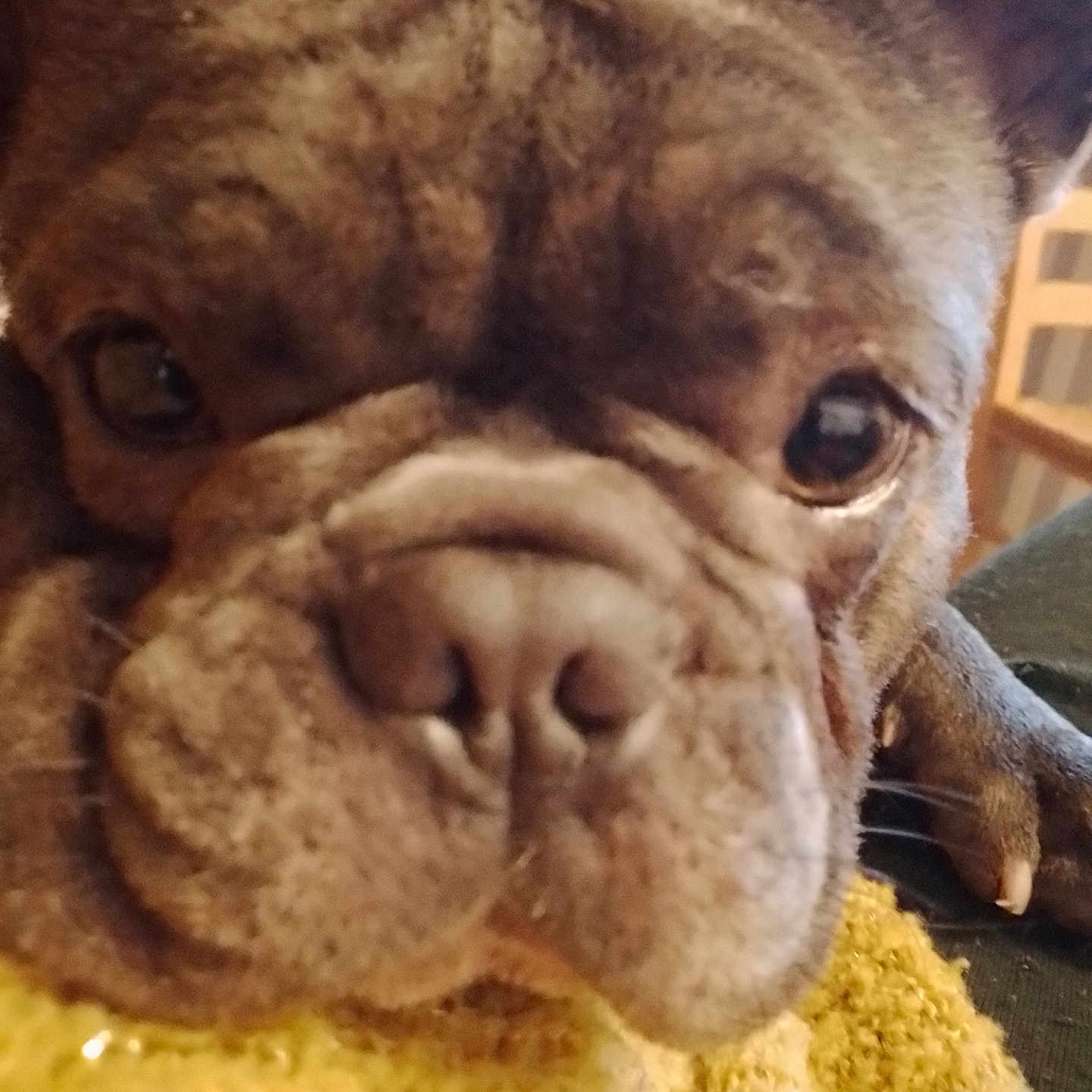 Mon Bébé