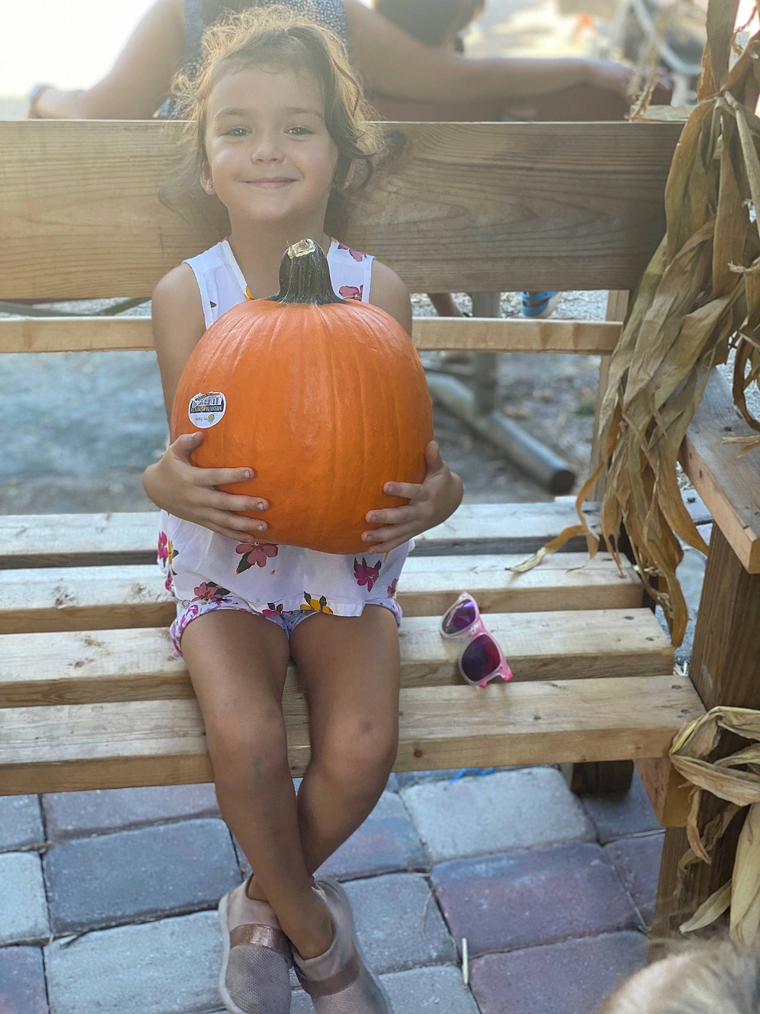 Haley joined the competition — help win amazing prizes! calabaza, cucurbita, eye, fruit, gourd, happy, head, human_body, joy, knee, leg, natural_foods, person, plant, pumpkin, smile, squash, thigh, vegetable, waist