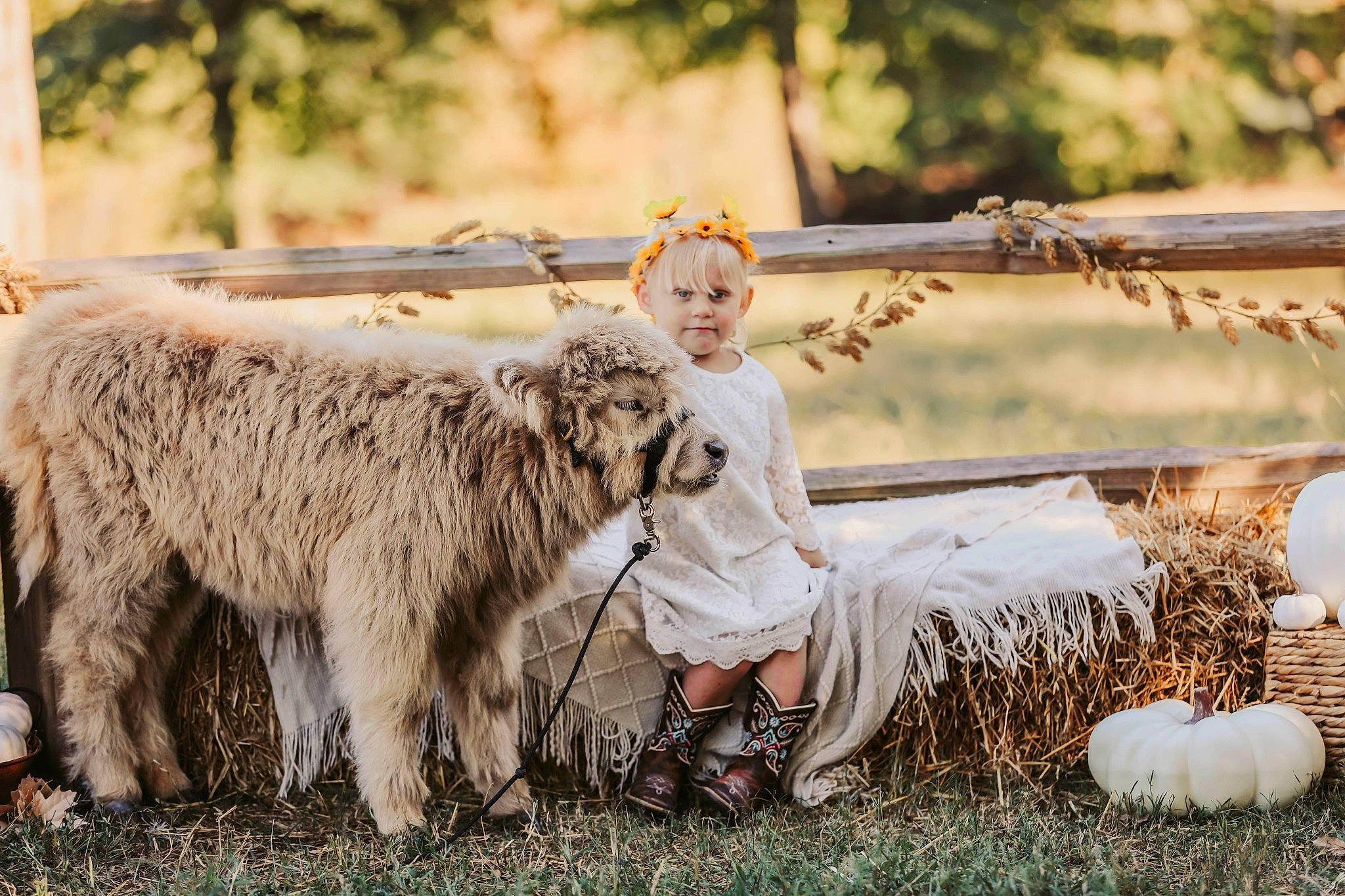 Oaklee is registered to the contest to win money with this photo: clothing, companion_dog, dress, fawn, fun, fur, goat, grass, grassland, happy, head, landscape, livestock, pasture, people_in_nature, person, plant, sheep, toddler, working_animal