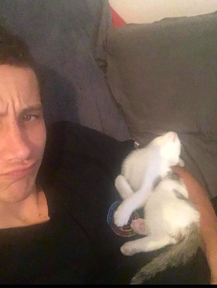 Jam a rejoint le concours — aidez-le/la à gagner de superbes lots ! carnivore, cat, chest, comfort, companion_dog, dog_breed, ear, eye, eyebrow, eyelash, fawn, felidae, happy, jaw, neck, skin, small_to_medium_sized_cats, tail, trunk, whiskers