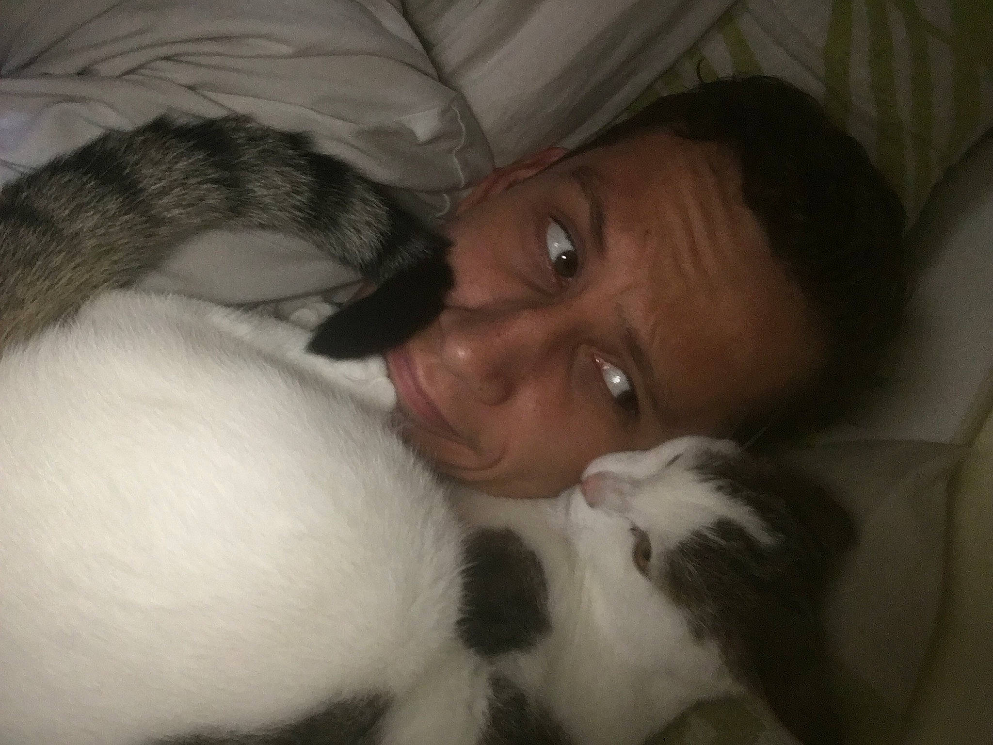 Jam a rejoint le concours — aidez-le/la à gagner de superbes lots ! bedtime, canidae, cheek, chest, child, comfort, companion_dog, dog_breed, ear, fur, iris, linens, mammal, nap, nose, sleep, snout, sporting_group, toddler, toy