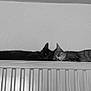 animal, black_cat, cat, close_together, companionship, cozy, feline, home, indoor, laying_down, monochrome, pair, pet, quiet, radiator, relaxing, resting, sleeping, striped_cat, two_animals