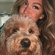 Winnie is registered to the contest to win money with this photo: woman, dog, pet, curly_hair, fluffy_dog, face, portrait, indoor, curtains, natural_light, close_up, snuggling, happy, cute, animal, person, wavy_hair, furry, friendship, cozy