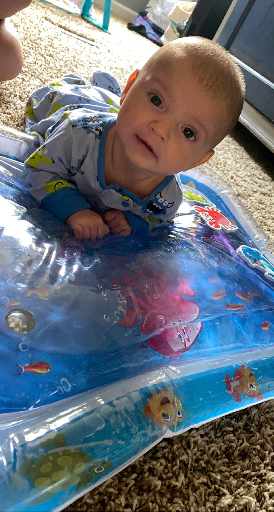 Maverick is registered to the contest to win money with this photo: automotive_exterior, baby, baby_products, baby_toddler_clothing, baby_toys, blue, child, electric_blue, flooring, fun, happy, hood, leisure, person, photograph, plastic, play, product, recreation, toddler