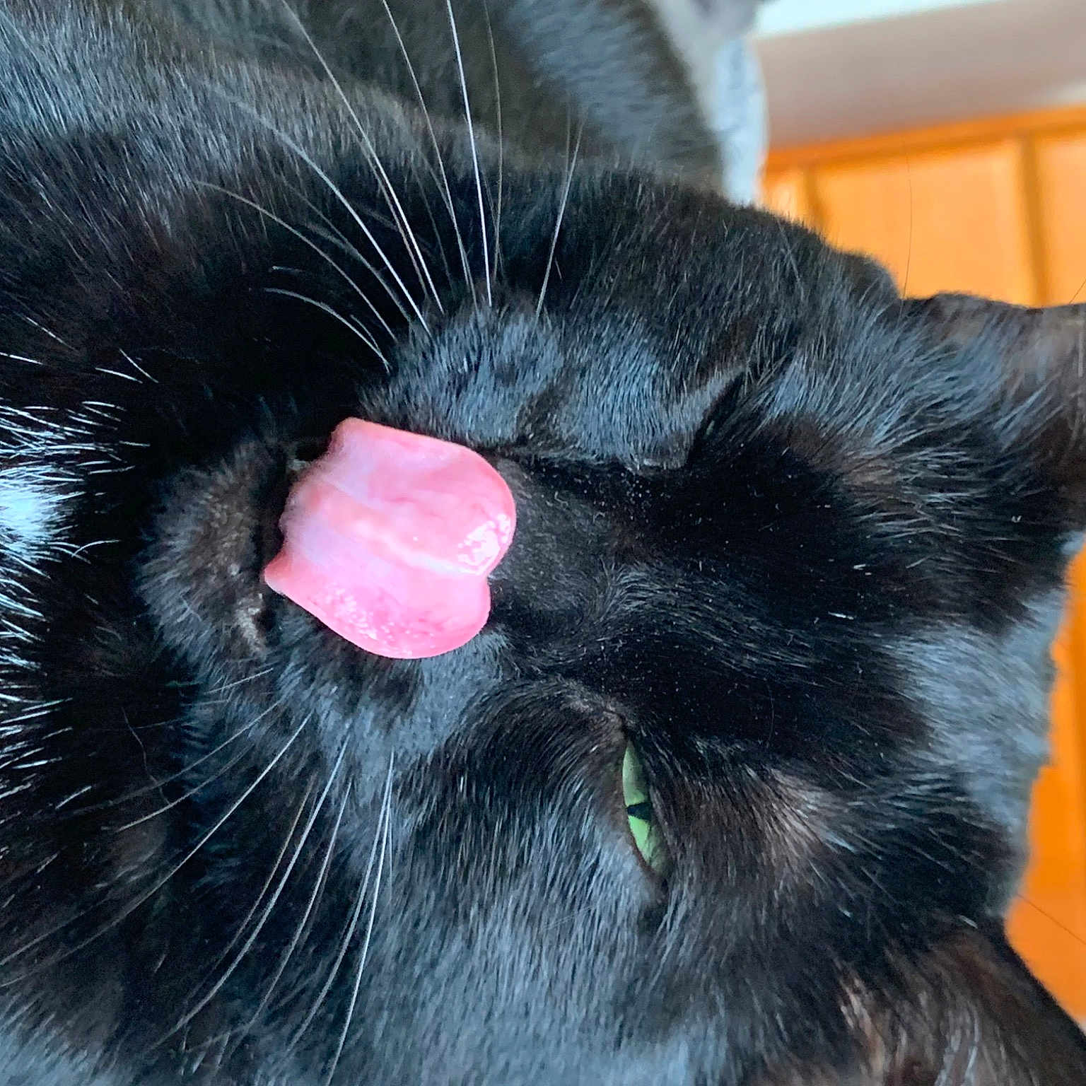Vanille