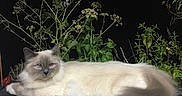 Eiffel participe au concours pour gagner de l'argent avec cette photo :