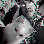 Azumi participe au concours pour gagner de l'argent avec cette photo : kitten, cat, fluffy, white_cat, person, portrait, selfie, indoors, bed, blanket, sleeping, beanie, cuddle, close_up, fur, eyes, 3d_effect, red_cyan, cozy, funny