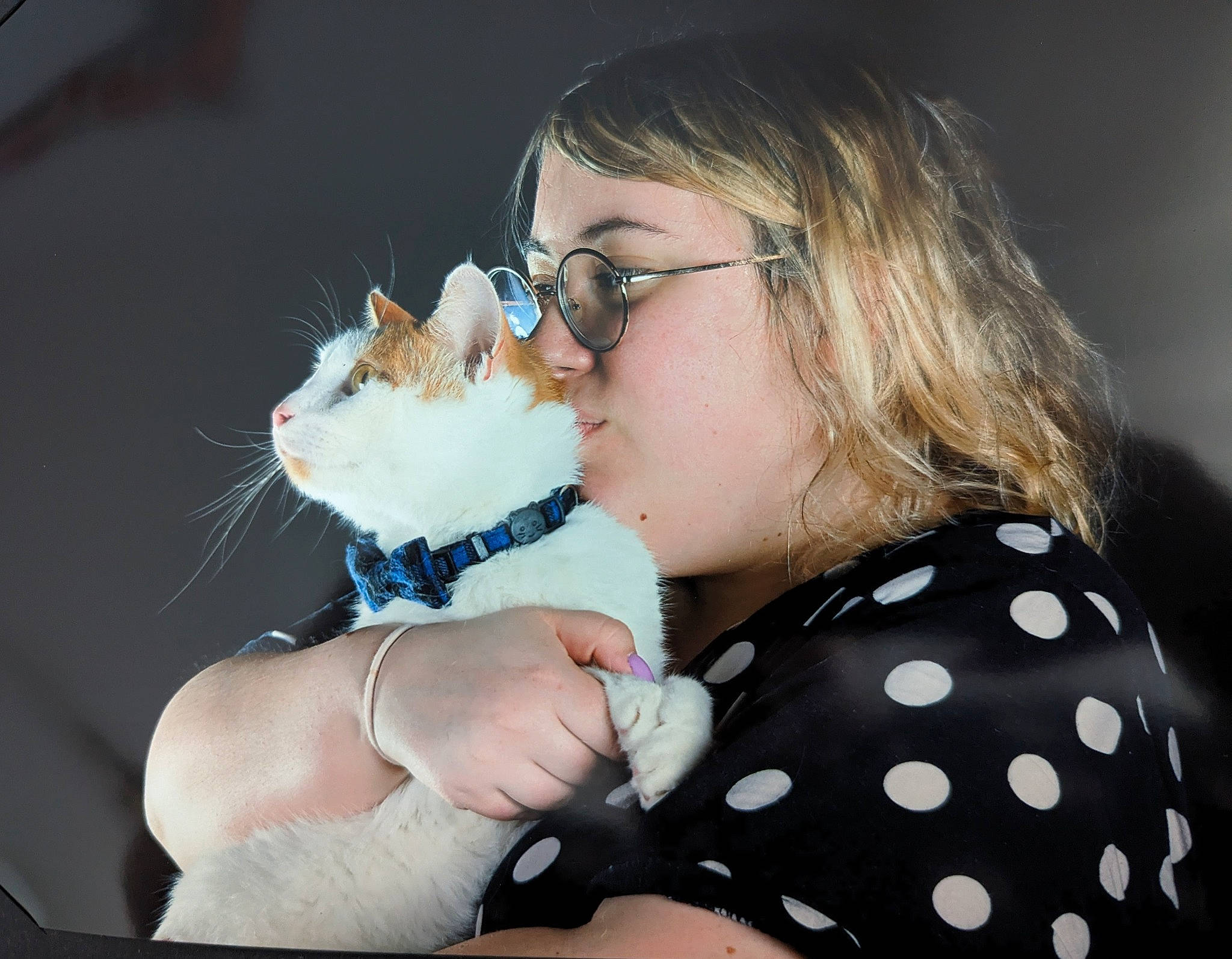Phénix participe au concours pour gagner de l'argent avec cette photo : brown_hair, carnivore, cat, comfort, companion_dog, eyelash, eyewear, fawn, felidae, formal_wear, fur, gesture, glasses, happy, nail, neck, sleeve, small_to_medium_sized_cats, vision_care, whiskers