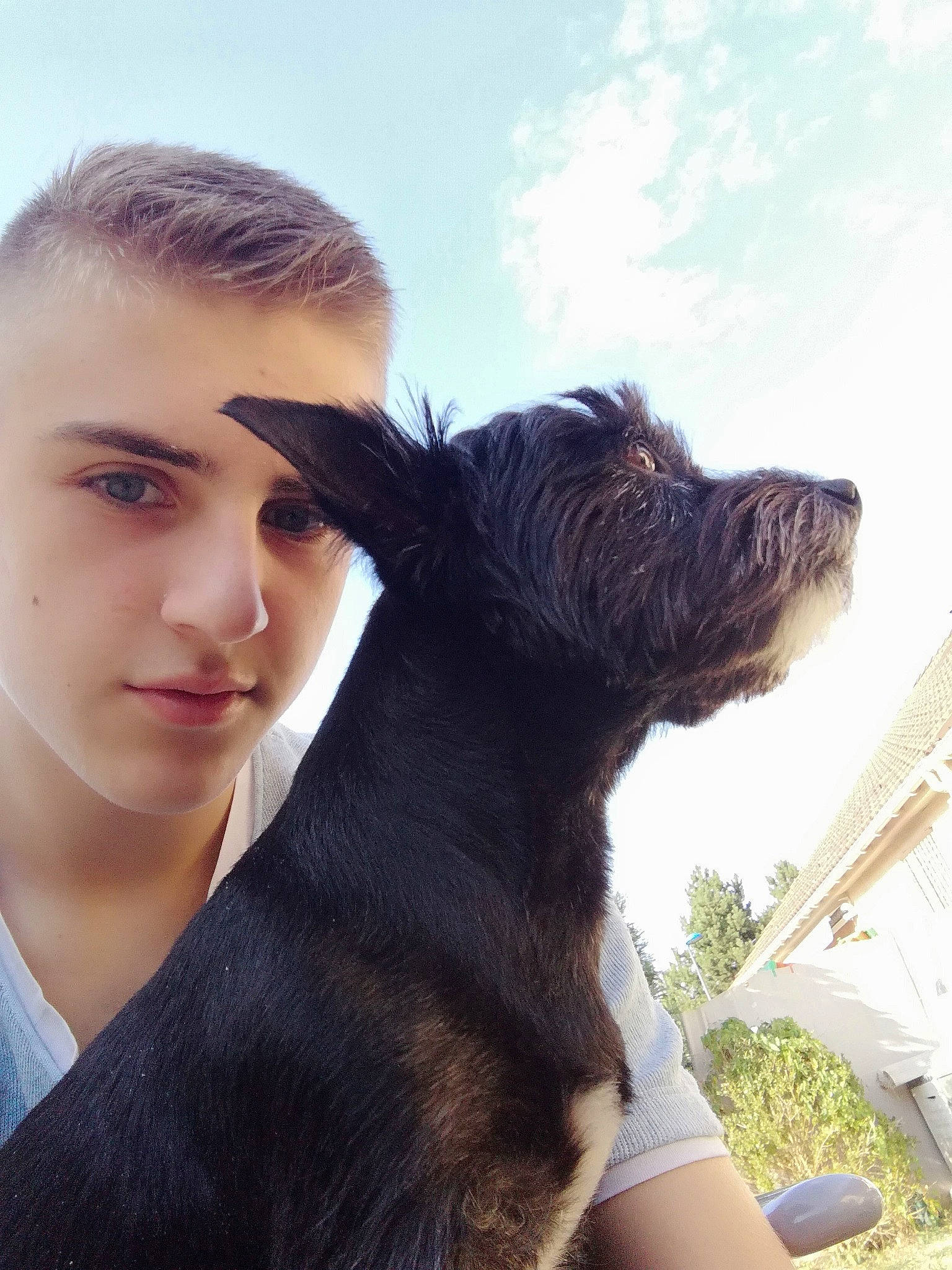 Chippie a rejoint le concours — aidez-le/la à gagner de superbes lots ! canidae, carnivore, companion_dog, dog, dog_breed, ear, patterdale_terrier, photography, selfie