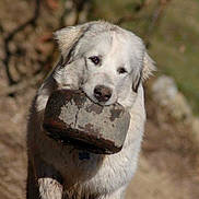 Gallann a rejoint le concours — aidez-le/la à gagner de superbes lots !