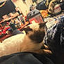 Sebastian is registered to the contest to win money with this photo: blanket, candle, cat, clock, clutter, cozy, furniture, heater, home, indoor, lap, lights, propane_tank, resting, rug, siamese_cat, sitting, table, television, warm