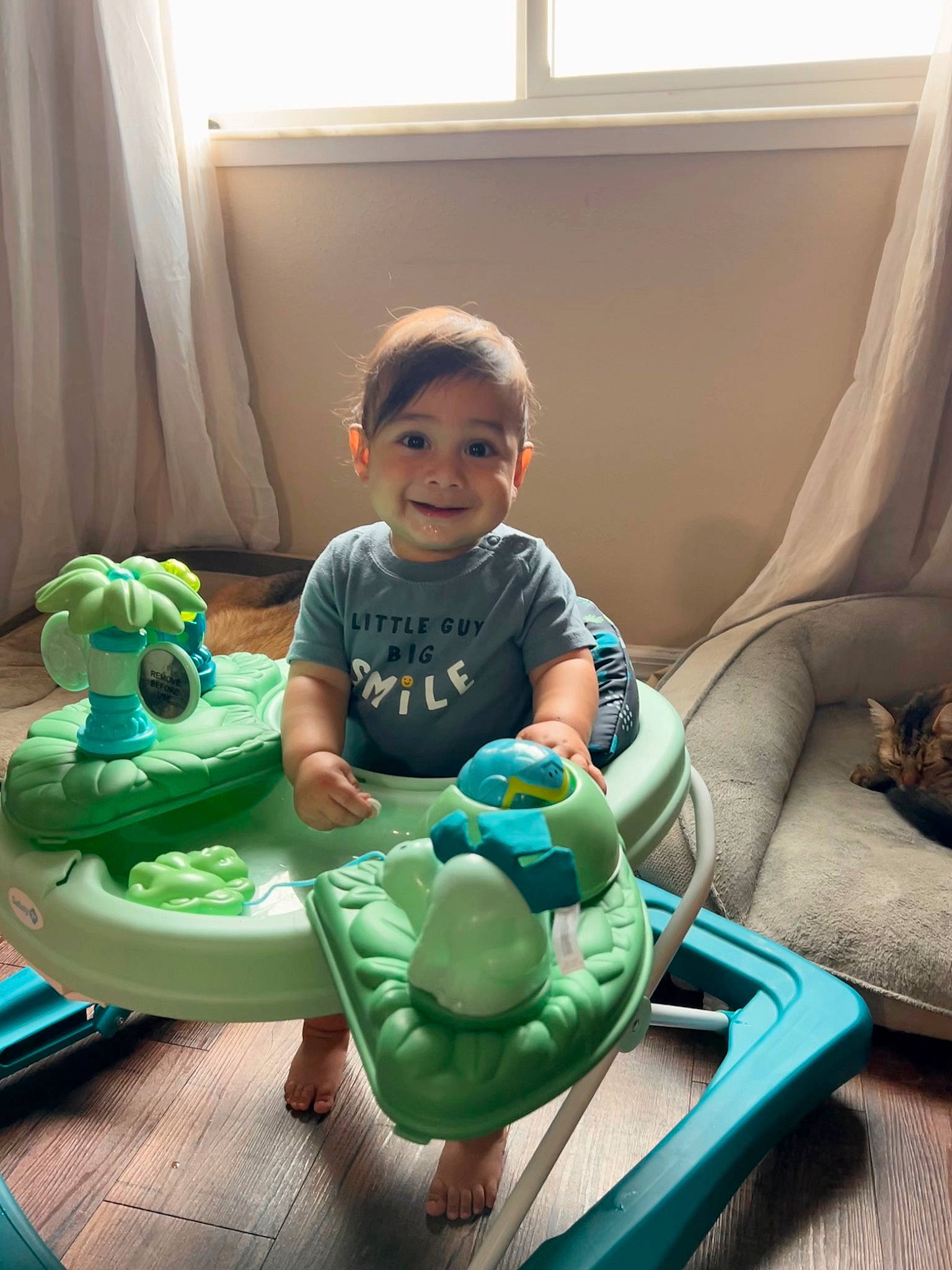 Dominic is registered to the contest to win money with this photo: baby, baby_playing_with_toys, baby_products, baby_toddler_clothing, child, comfort, curtain, flooring, fun, happy, joy, leisure, person, play, room, shorts, sitting, smile, t_shirt, toddler