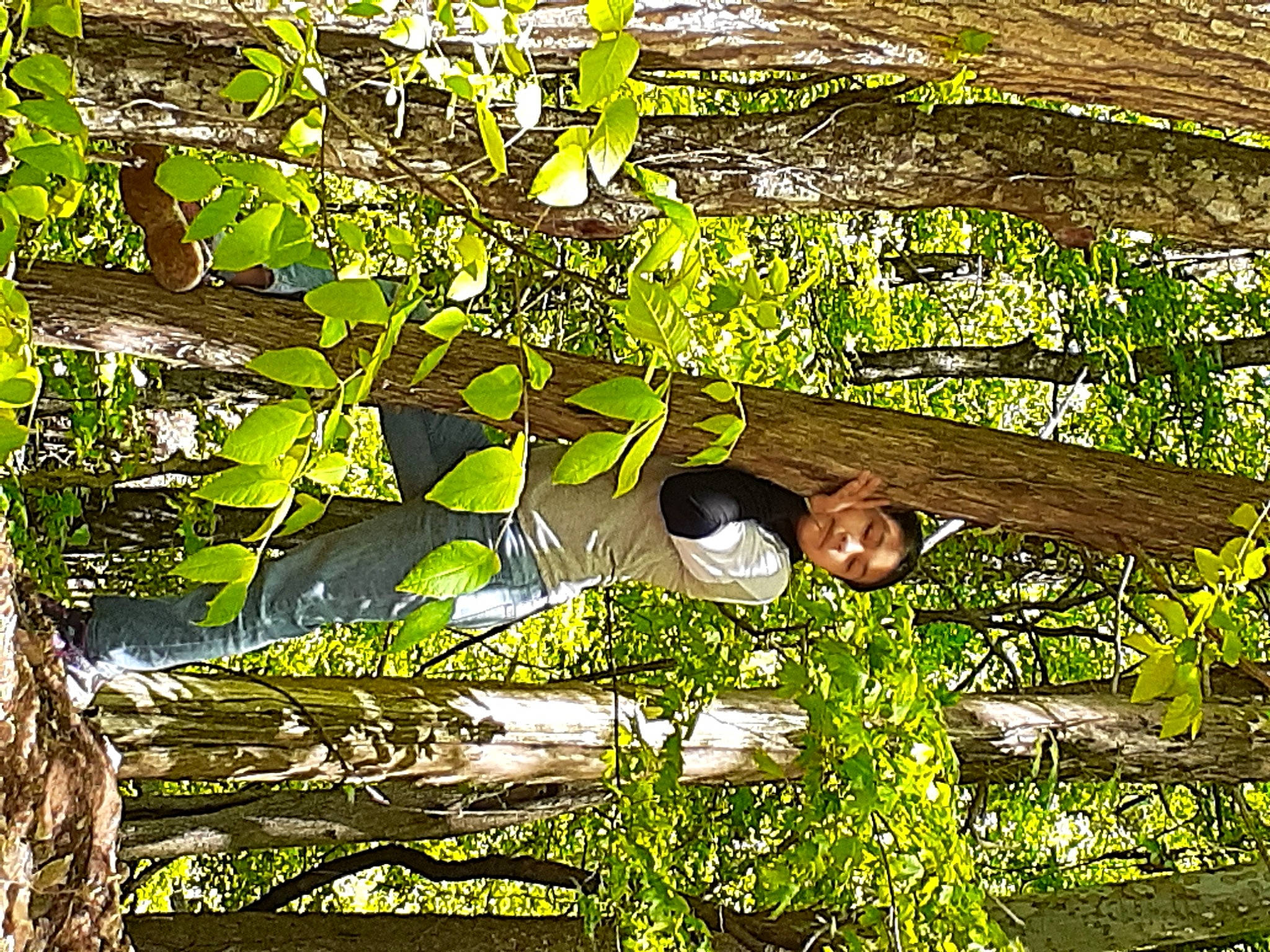 Adrianna joined the competition — help win amazing prizes! aquatic_plant, forest, grass, groundcover, landscape, natural_landscape, people_in_nature, person, plant, plant_stem, reflection, shade, shadow, terrestrial_plant, tints_and_shades, tree, trunk, twig, water_lily, wetland