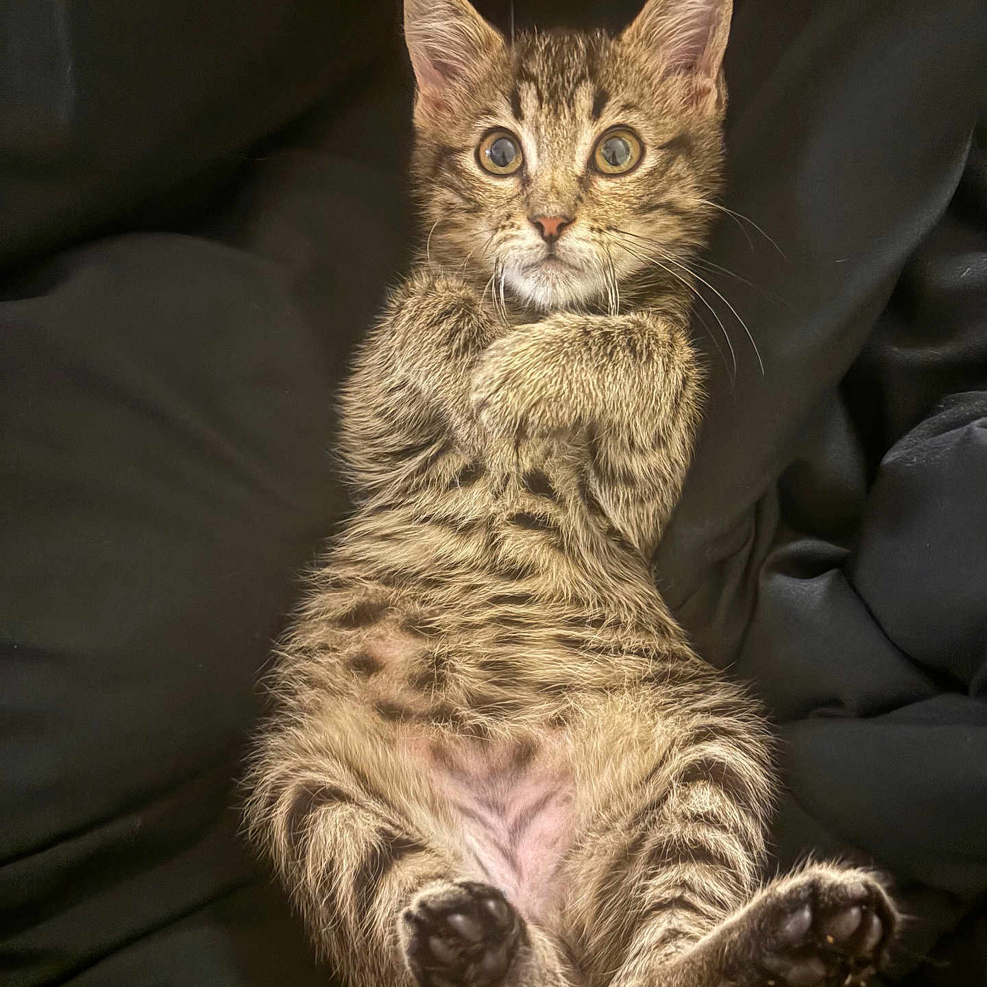 Moki