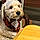 Charlie