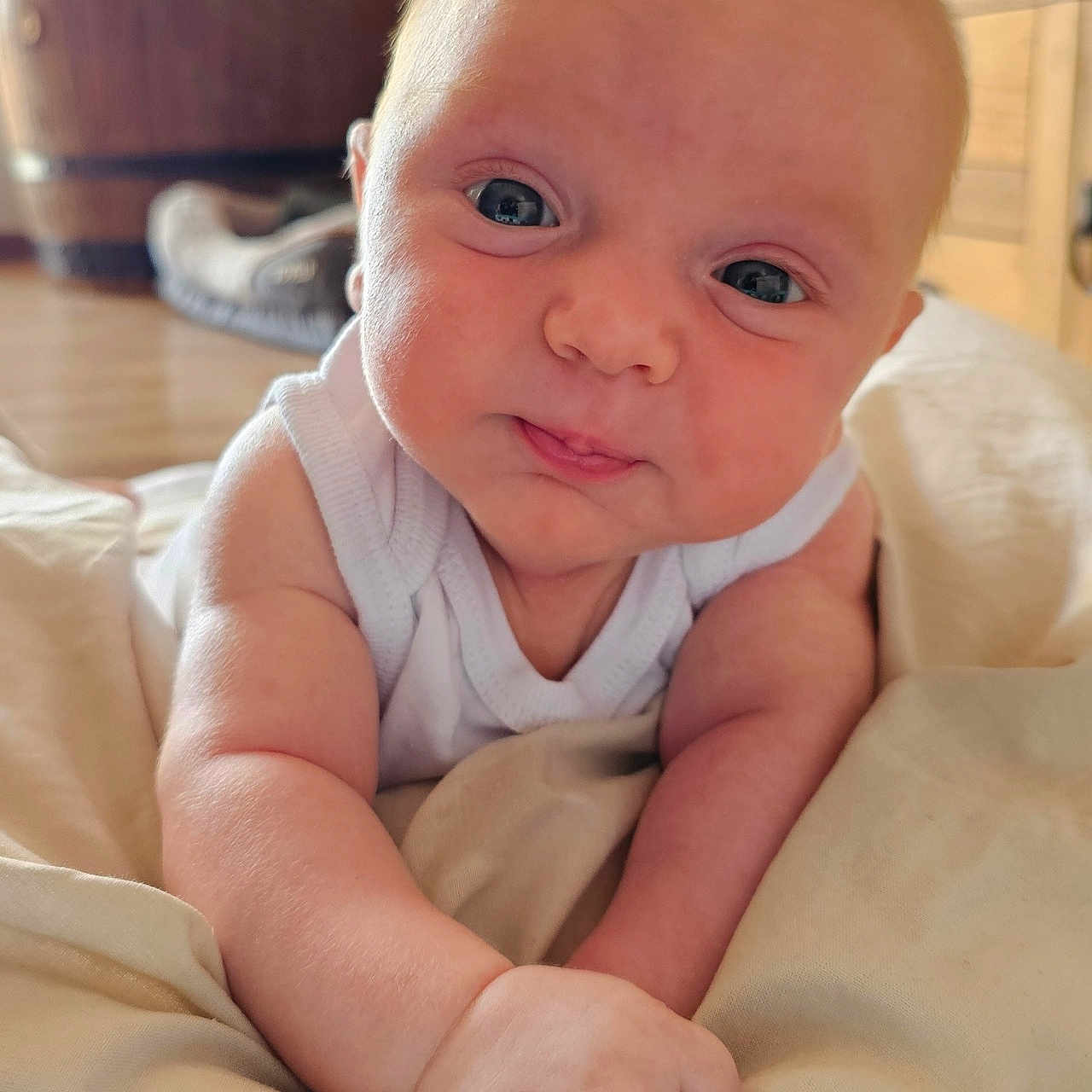 Santu participe au concours pour gagner de l'argent avec cette photo : arm, baby, blanket, child, closeup, curious, cute, expression, face, floor, furniture, hand, indoors, infant, lying_down, portrait, skin, soft, white_clothing, wood