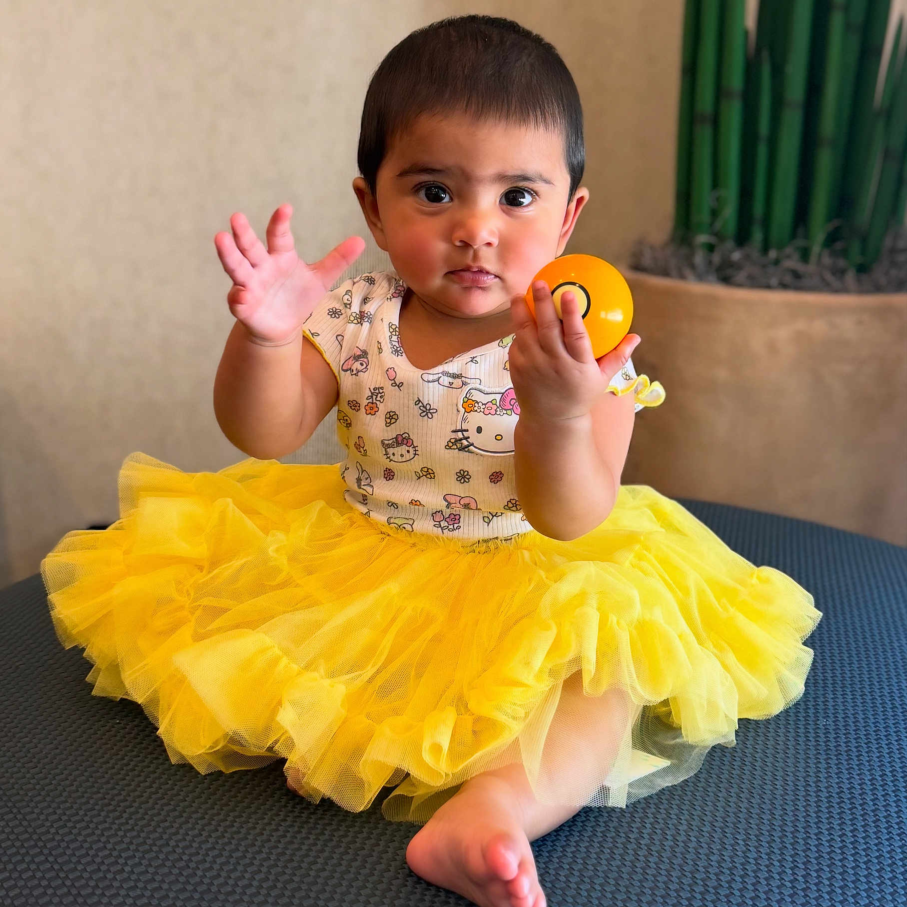 Tiara Chowdary joined the competition — help win amazing prizes! toddler, child, yellow_tutu, hello_kitty, orange_ball, curious_expression, sitting, indoor, plant, bamboo, cute, baby, portrait, clothing, toy, face, hand, foot, furniture, soft_lighting