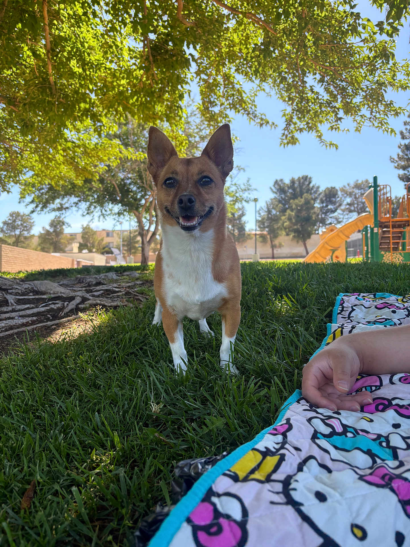 Chiquita