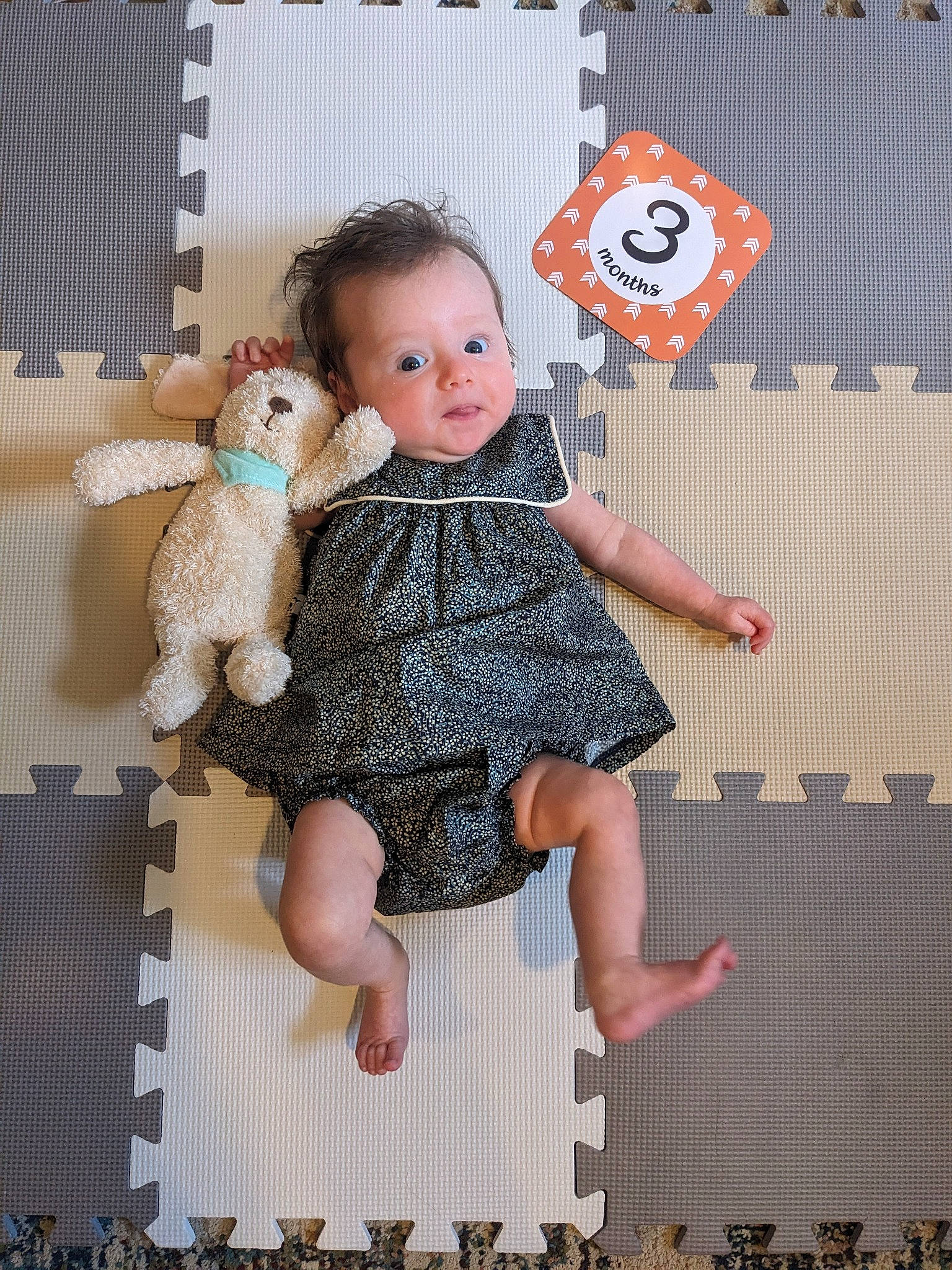 Natalie joined the competition — help win amazing prizes! child, day_dress, doll, fashion_design, fawn, fur, happy, one_piece_garment, pattern, person, pink, plush, shelf, sitting, stuffed_toy, teddy_bear, thigh, toddler, toy, vintage_clothing