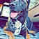 Otto