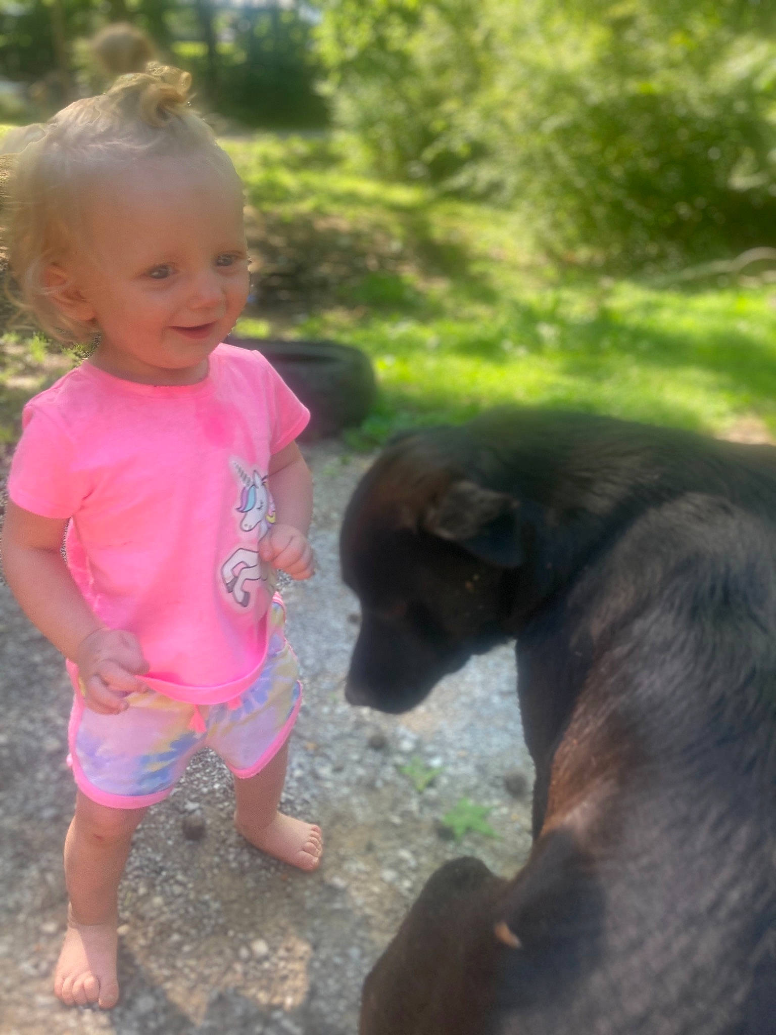 Kendal joined the competition — help win amazing prizes! baby_toddler_clothing, carnivore, companion_dog, dog, dog_breed, fawn, fun, grass, happy, joy, mammal, people_in_nature, person, plant, recreation, shorts, smile, snout, sporting_group, toddler